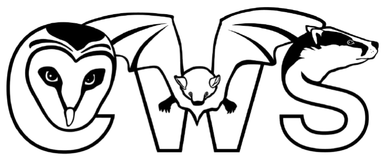 CWS Logo